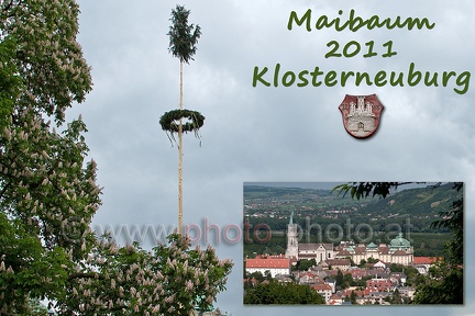 Maibaum Klosterneuburg 2011 (20110501 0001)